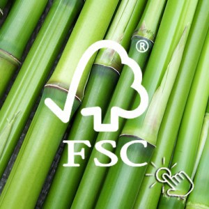 GARANZIA 25 ANNI: Bamboo Massello PREFINITO