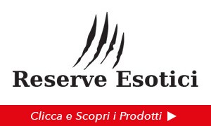 Reserve Esotici, masselli esotici