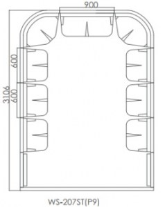 Dia207ST(P9)