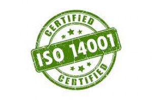 iso140011