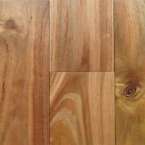 massello-acacia-big-leaf6