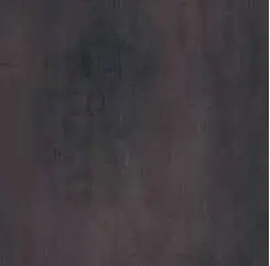 3359.jpg
