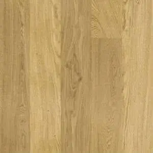 rovere20120strip1.jpg