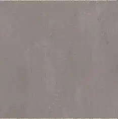 6896.jpg