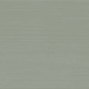 CANONE2019_300x3006.png