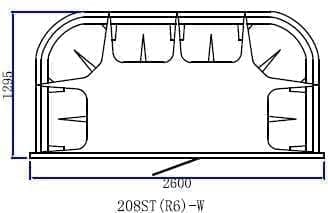 Dia208STR6-W.jpg