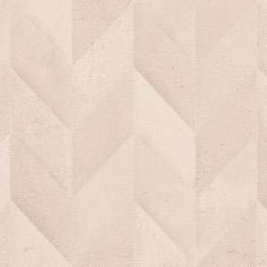 Disegnarecasa-At.RLV_.Tiad-Arena-300x300-without-text.jpg