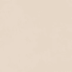 boostpro1.1_300x3007.png