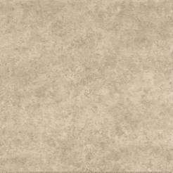 grey20lims8.jpg