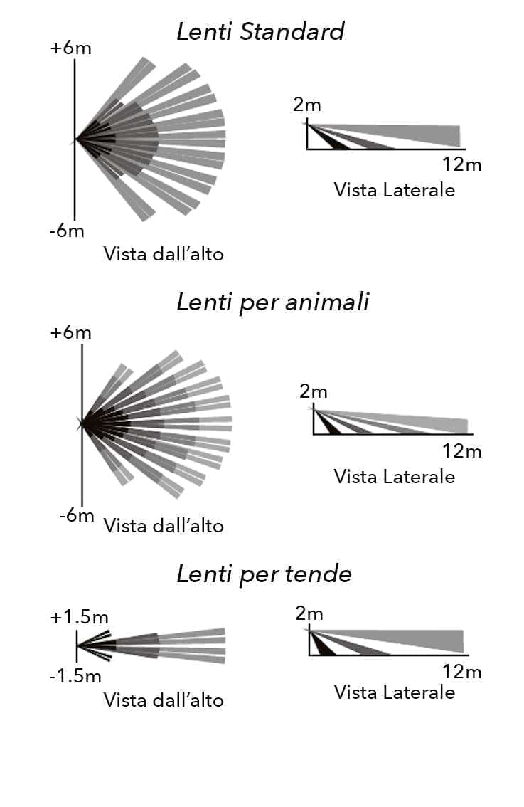 lenti.jpg