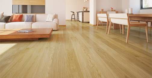rovere20120strip20ambientazione3-2.jpg
