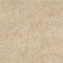 lims20beigi7.jpg